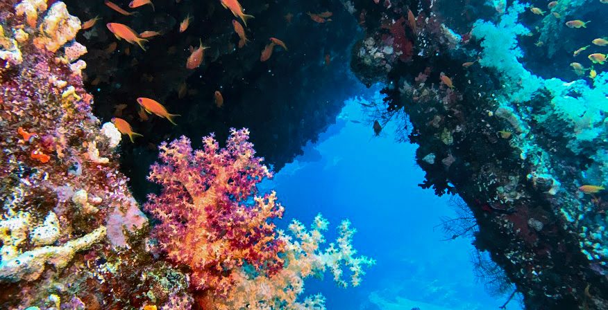 Mi primer viaje vida a bordo