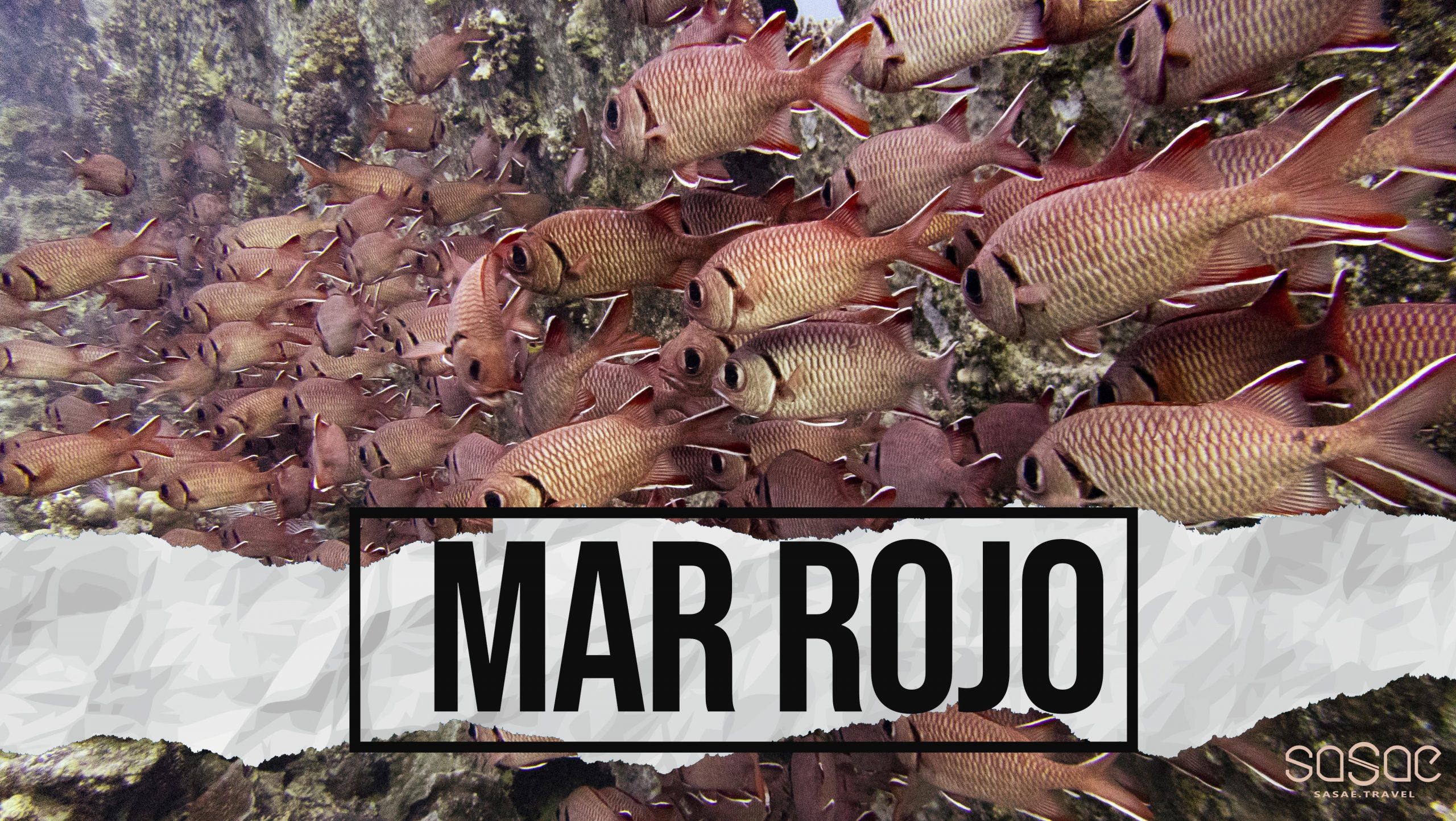 Mar Rojo (Norte+Brothers)